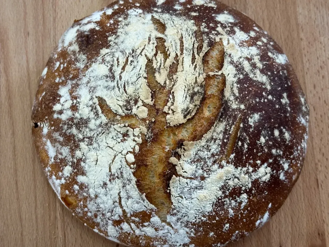 Dinkel-Joghurt-Brot mit Übernachtgare